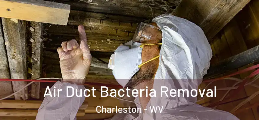  Air Duct Bacteria Removal Charleston - WV