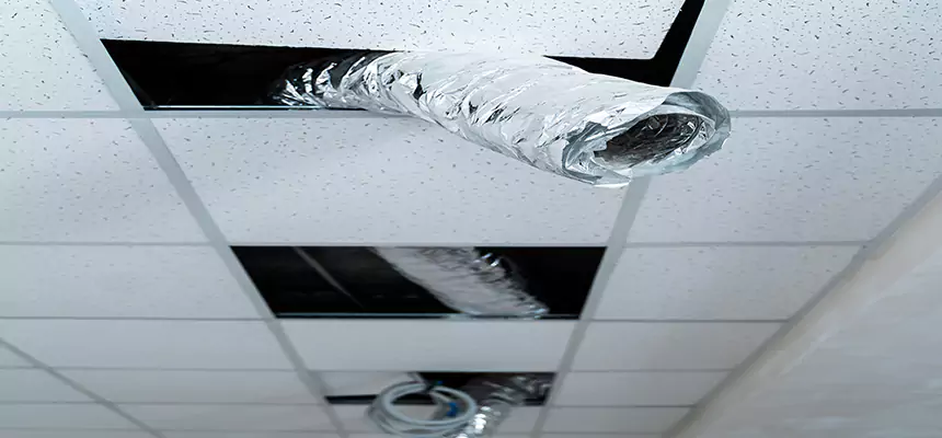 Our Air Duct Pet Hair Removal Services in Charleston, WV