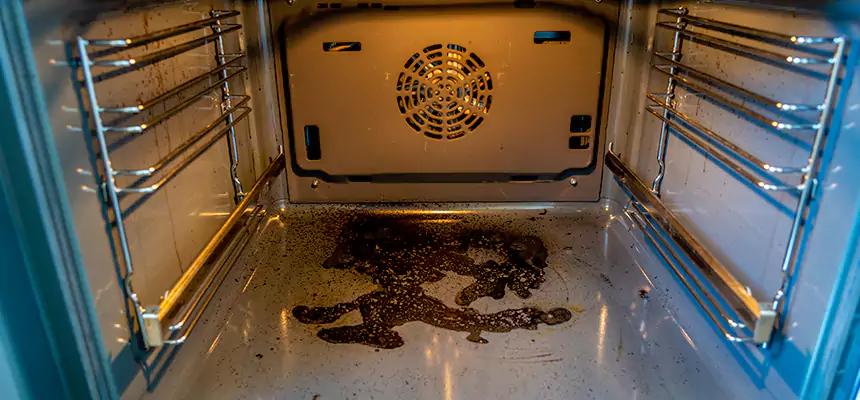 Our Dryer Vent Mold Cleaning Services in Charleston, WV