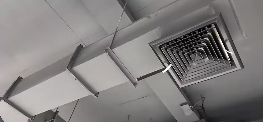 Our Pest Removal From Ducts Services in Charleston, WV