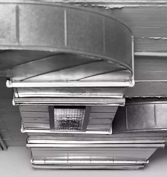 Professional Air Duct Pest Removal in Charleston, WV