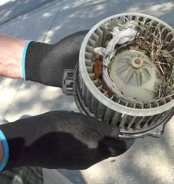 About Air Duct Rat Removal in Charleston, WV