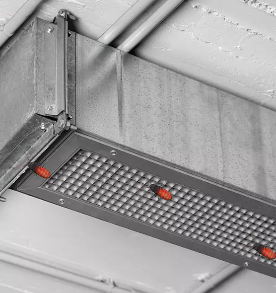 Affordable Insect Removal from Air Ducts in Charleston, WV