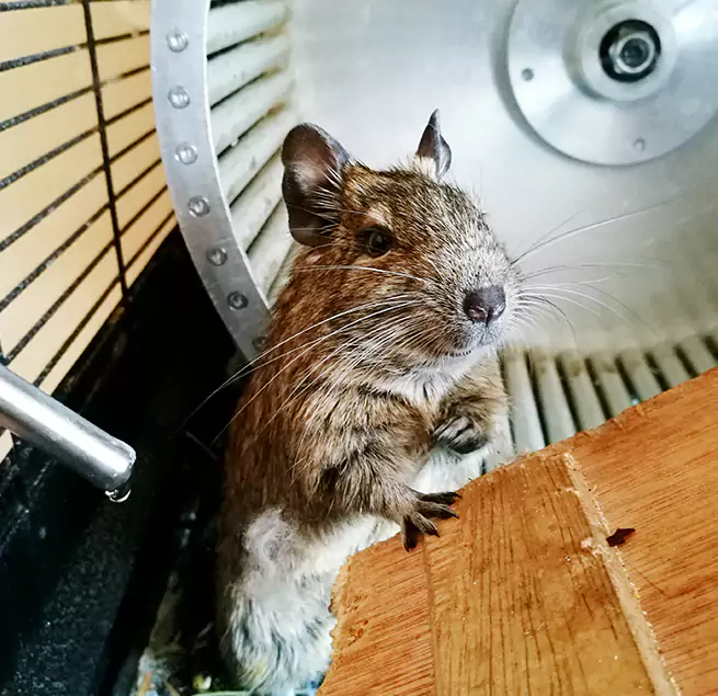 Why Homeowners & Businesses Trust Us Charleston, WV